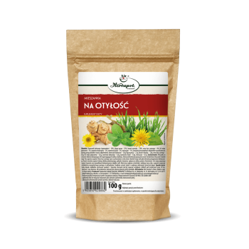 Mieszanka Na Otyłość 100 g Herbapol Kraków