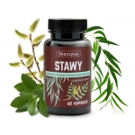 Stawy 60 kaps Skoczylas