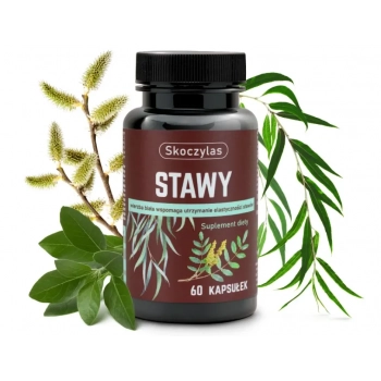 Stawy 60 kaps Skoczylas