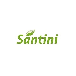 Santini