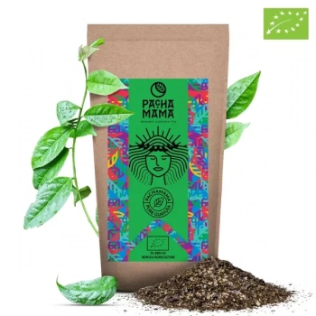 Guayusa (Wayusa) 100 g Pacamama